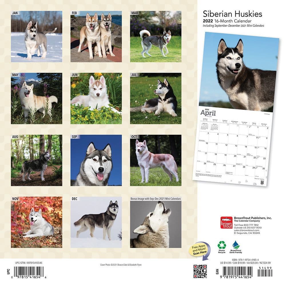 Siberian Huskies 2022 Wall Calendar - Calendars.com