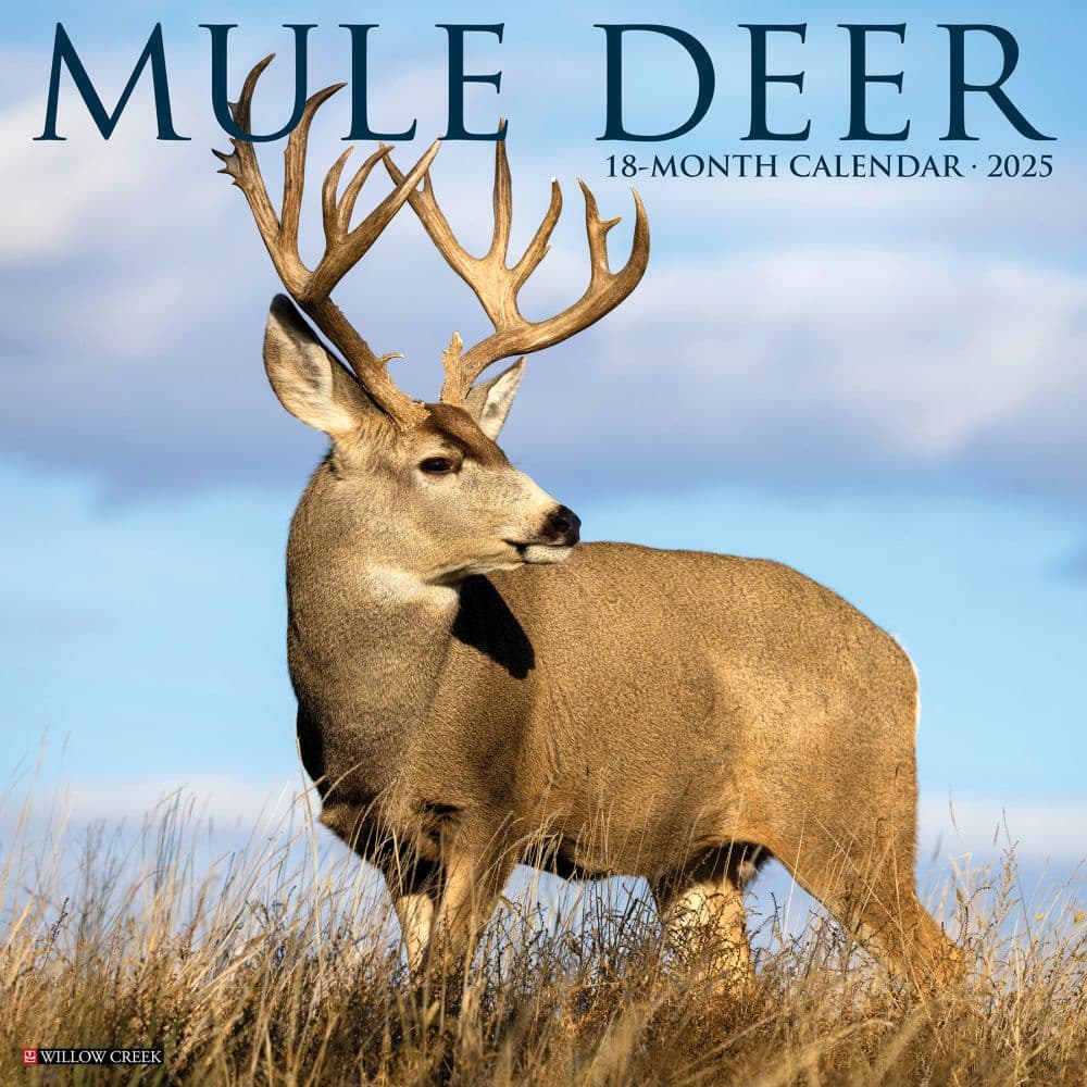 Missouri Deer Season 2025 Dates Calendar 2025 Calendar - Megen Charmain