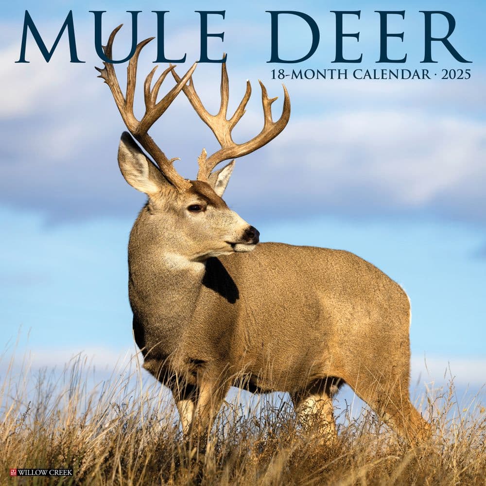 image Mule Deer 2025 Wall Calendar  Main Image