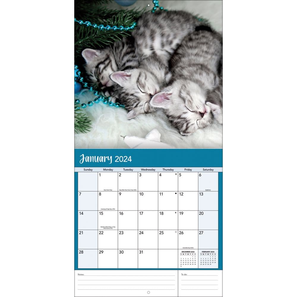 Curious Kittens 2024 Mini Wall Calendar