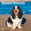 image Basset Hound 2027 Mini Wall Calendar Main Product Image
