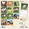 image Piglets 2025 Mini Wall Calendar