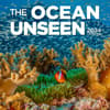 image Ocean Unseen 2024 Wall Calendar Main Image