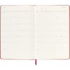 image Moleskine Large Red Daily Hard Cover 2025 Planner Fifth Alternate Image