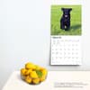 image Black Lab Retriever Puppies 2024 Wall Calendar Third Alternate Image width=&quot;1000&quot; height=&quot;1000&quot;