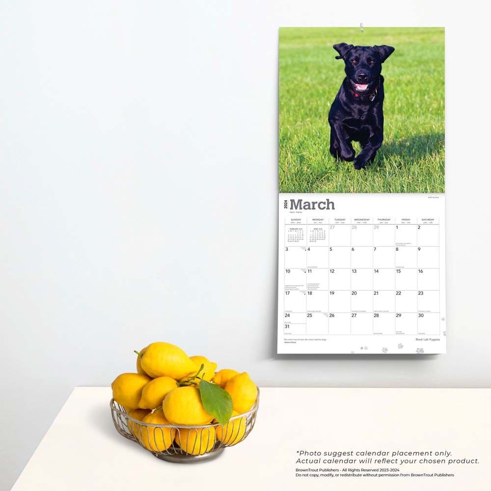 Black Lab Retriever Puppies 2024 Wall Calendar Third Alternate Image width=&quot;1000&quot; height=&quot;1000&quot;