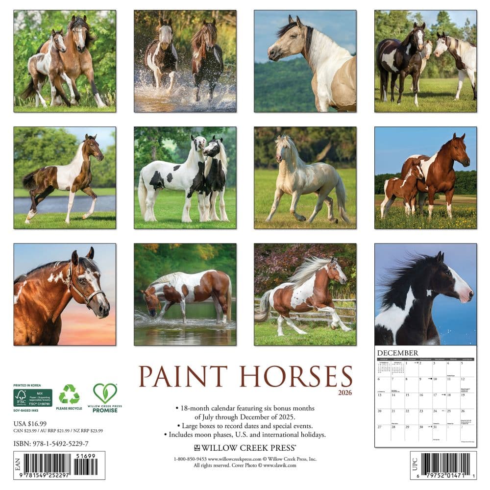Horses Paint 2026 Wall Calendar First Alternate Image