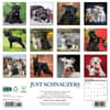image Just Schnauzers 2026 Wall Calendar First Alternate Image
