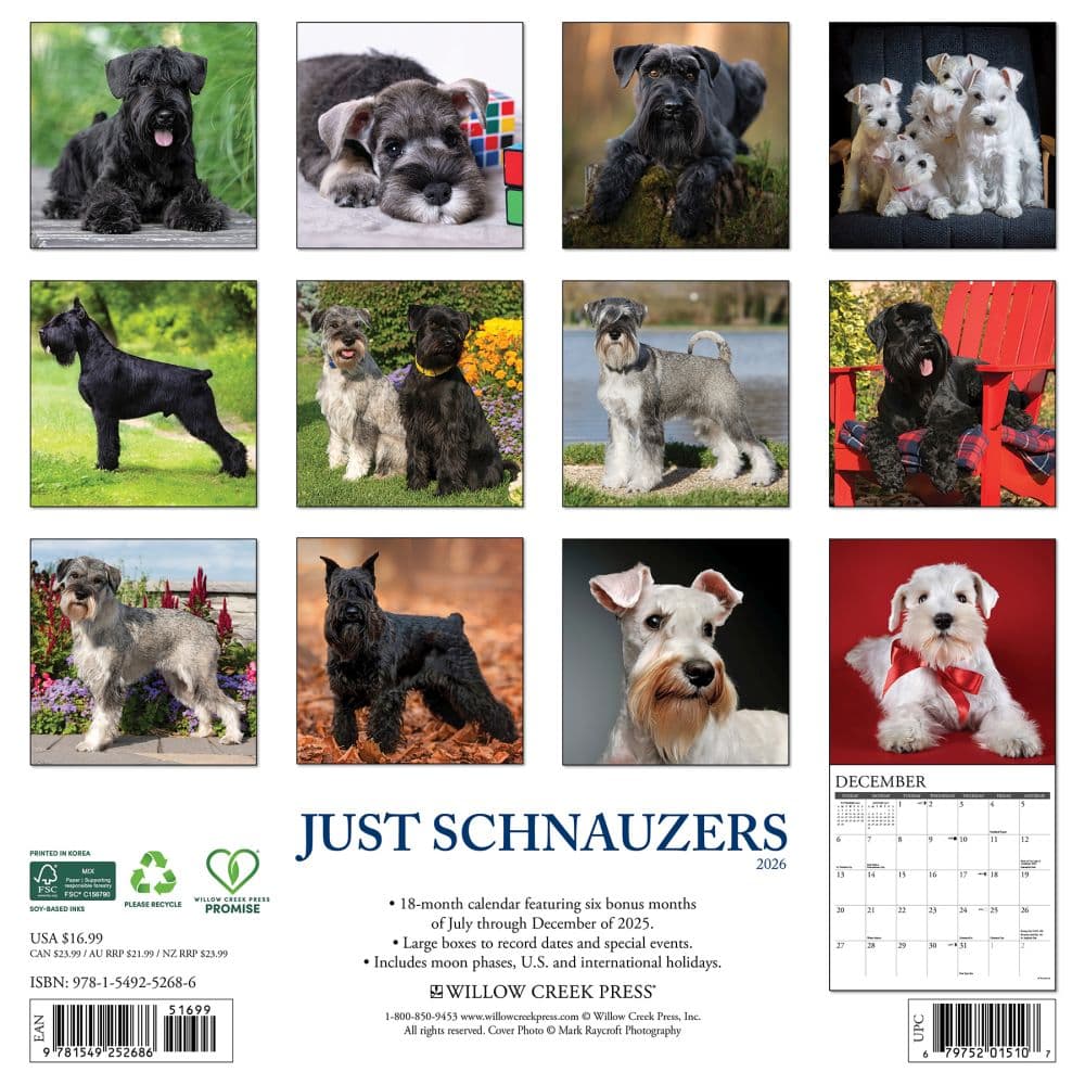 Just Schnauzers 2026 Wall Calendar First Alternate Image