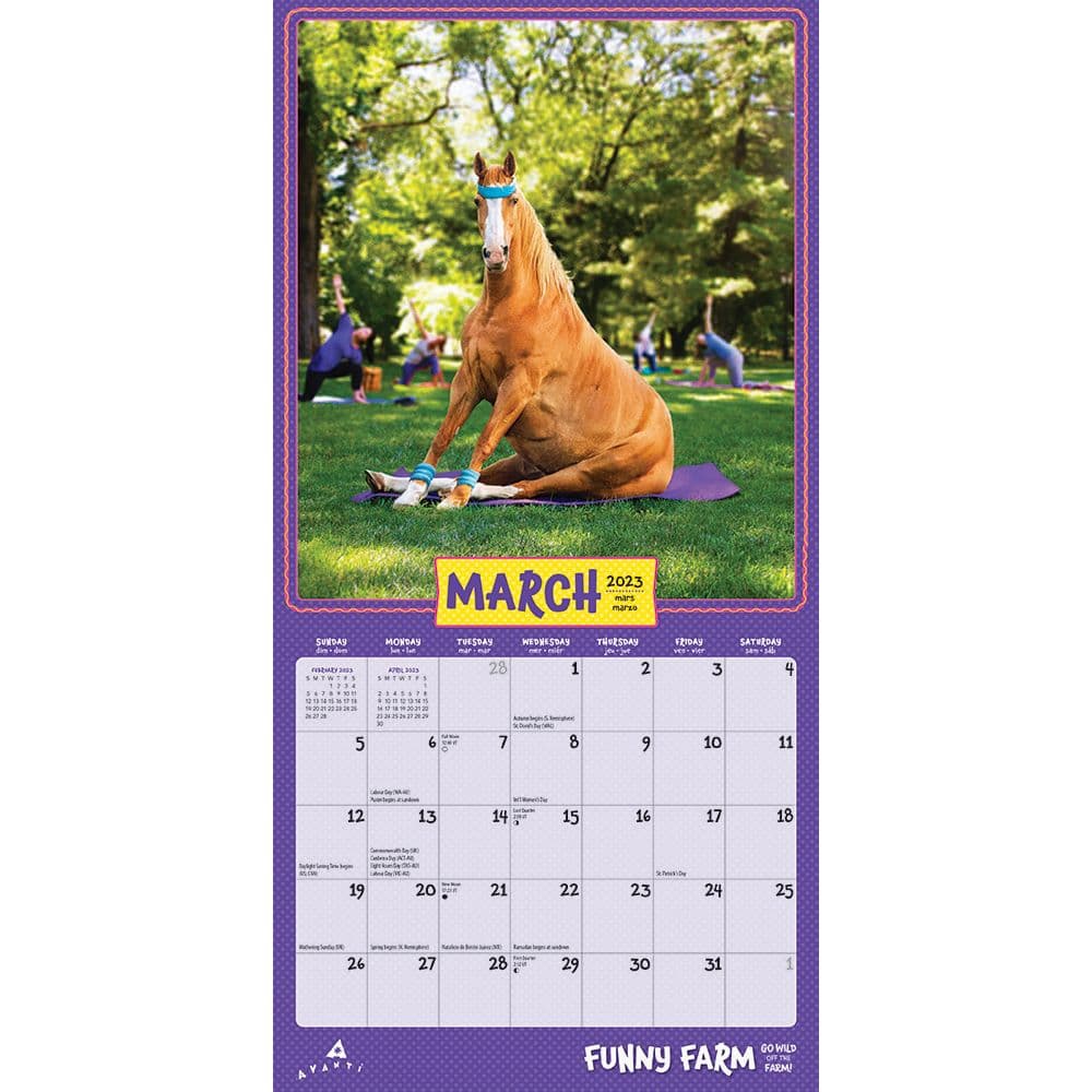 Funny 2023 Wall Calendar 2023 Calendar