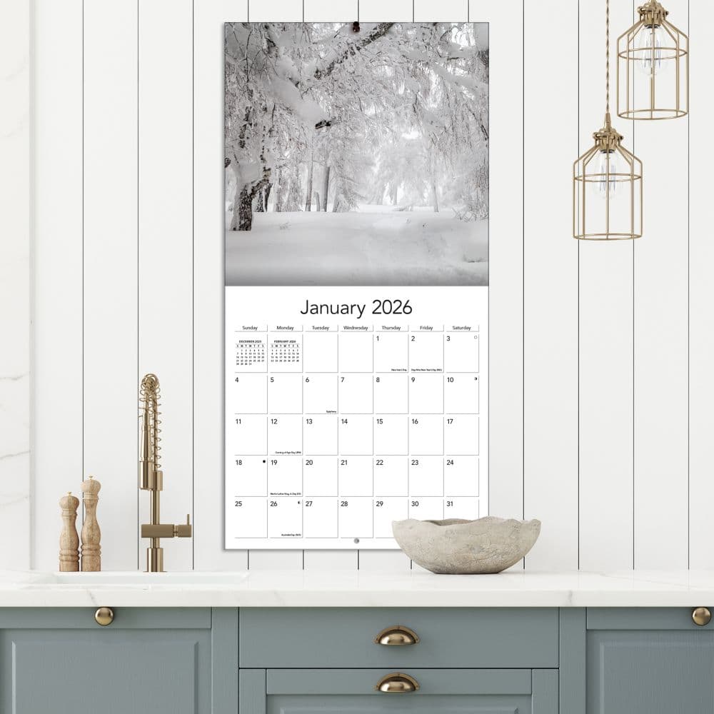 Wild and Wonderful Weather 2026 Wall Calendar_ALT4