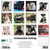 image Just Schnauzer Puppies 2025 Wall Calendar