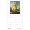 image Owls 2027 Wall Calendar by Jeannine Chappel Third Alternate Image