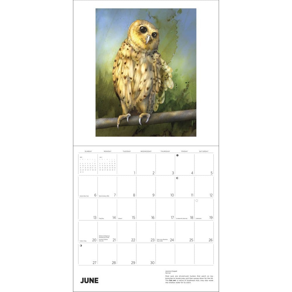 Owls 2027 Wall Calendar by Jeannine Chappel Third Alternate Image