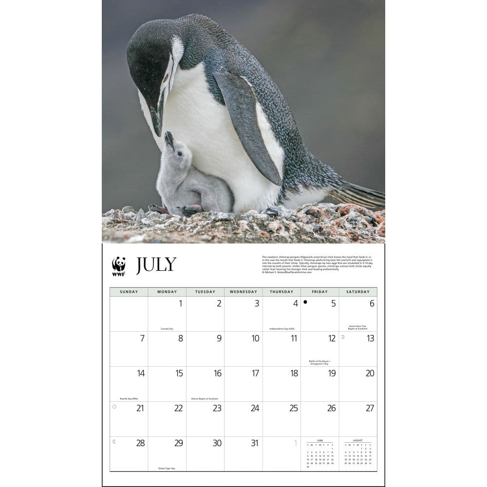 Penguins WWF 2024 Wall Calendar - Calendars.com