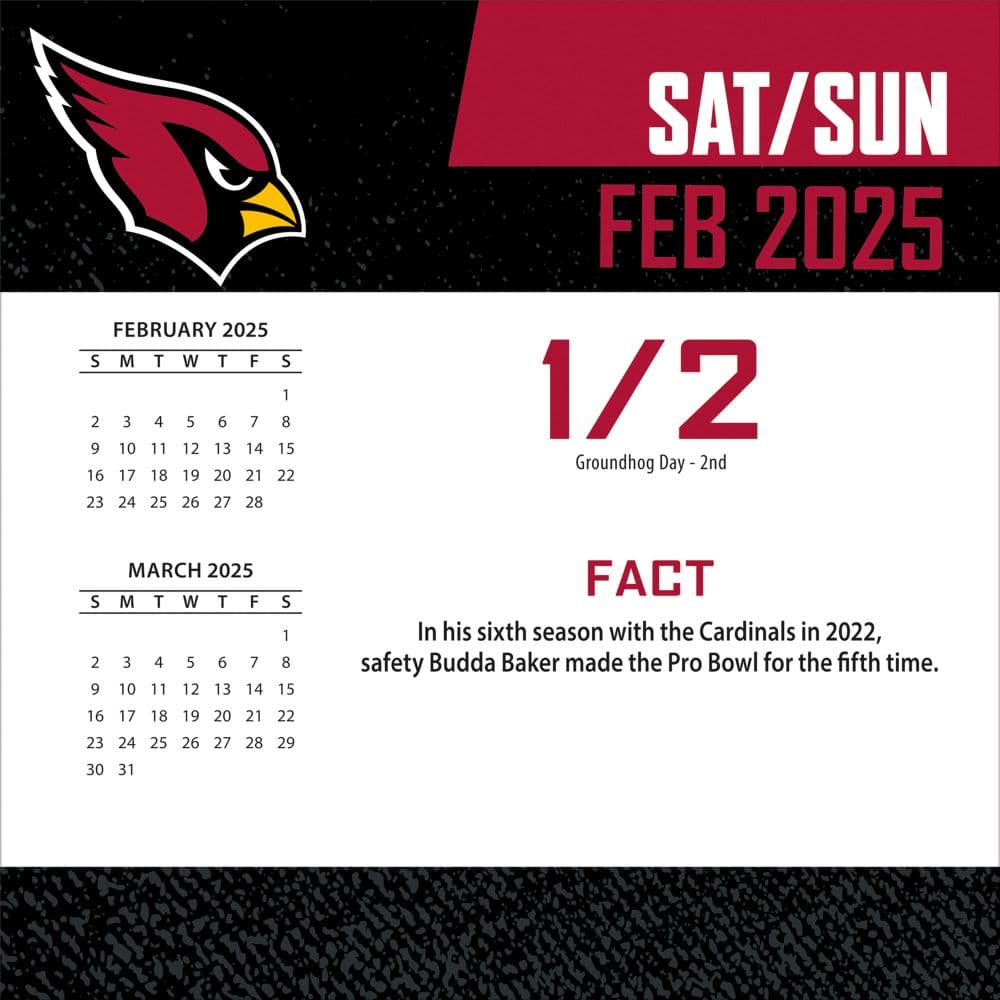 NFL Arizona Cardinals 2025 Desk Calendar Second Alternate Image