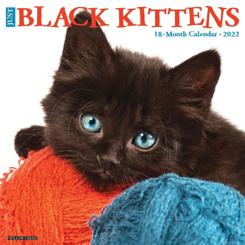 Black Kitties 2022 Wall Calendar