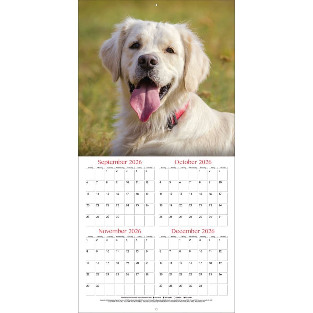 Golden Retrievers Photo 2027 Wall Calendar Second Alternate Image
