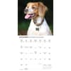 image Brittanys 2026 Wall Calendar Fourth Alternate Image