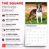 image Boston Terriers 2027 Wall Calendar Fifth Alternate Image