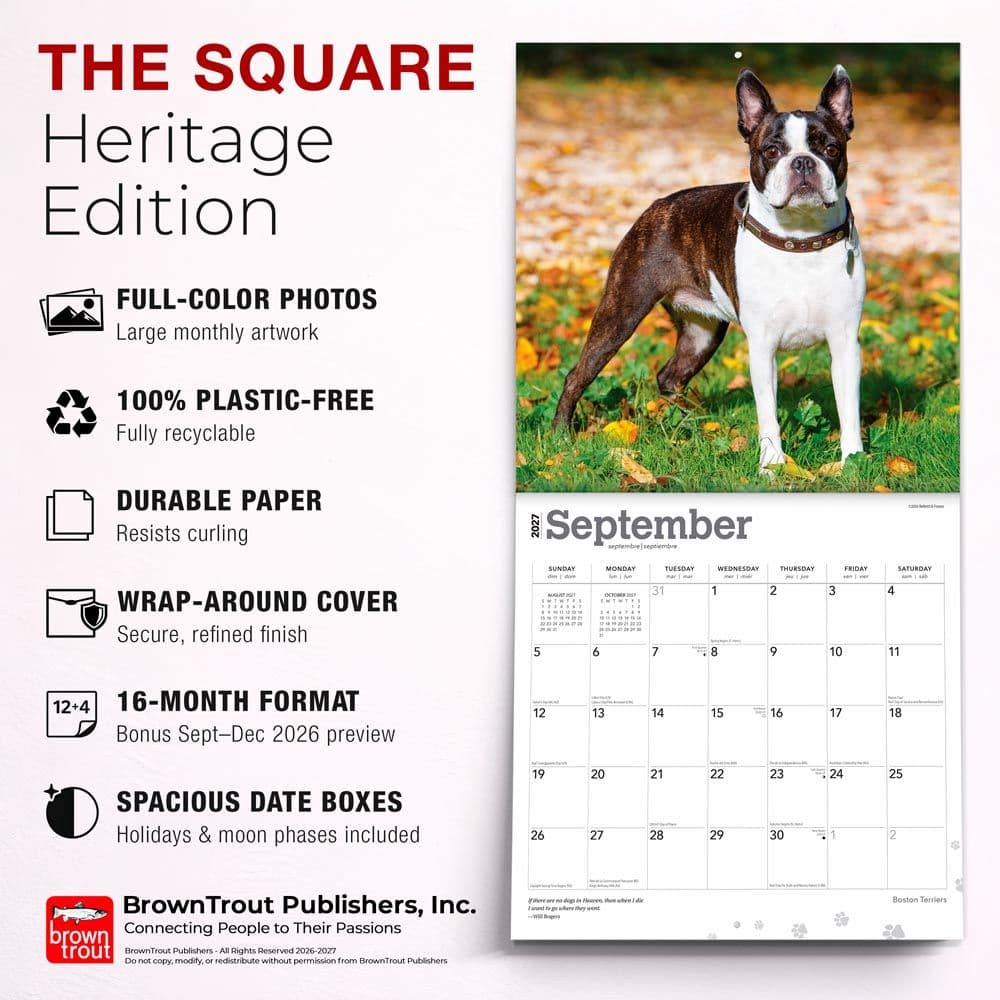 Boston Terriers 2027 Wall Calendar Fifth Alternate Image