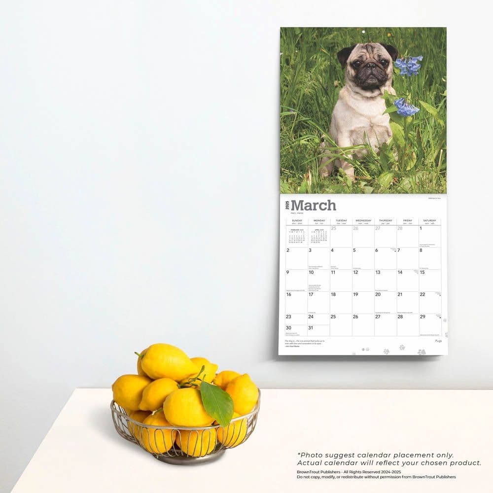 Pugs 2025 Wall Calendar Fourth Alternate Image