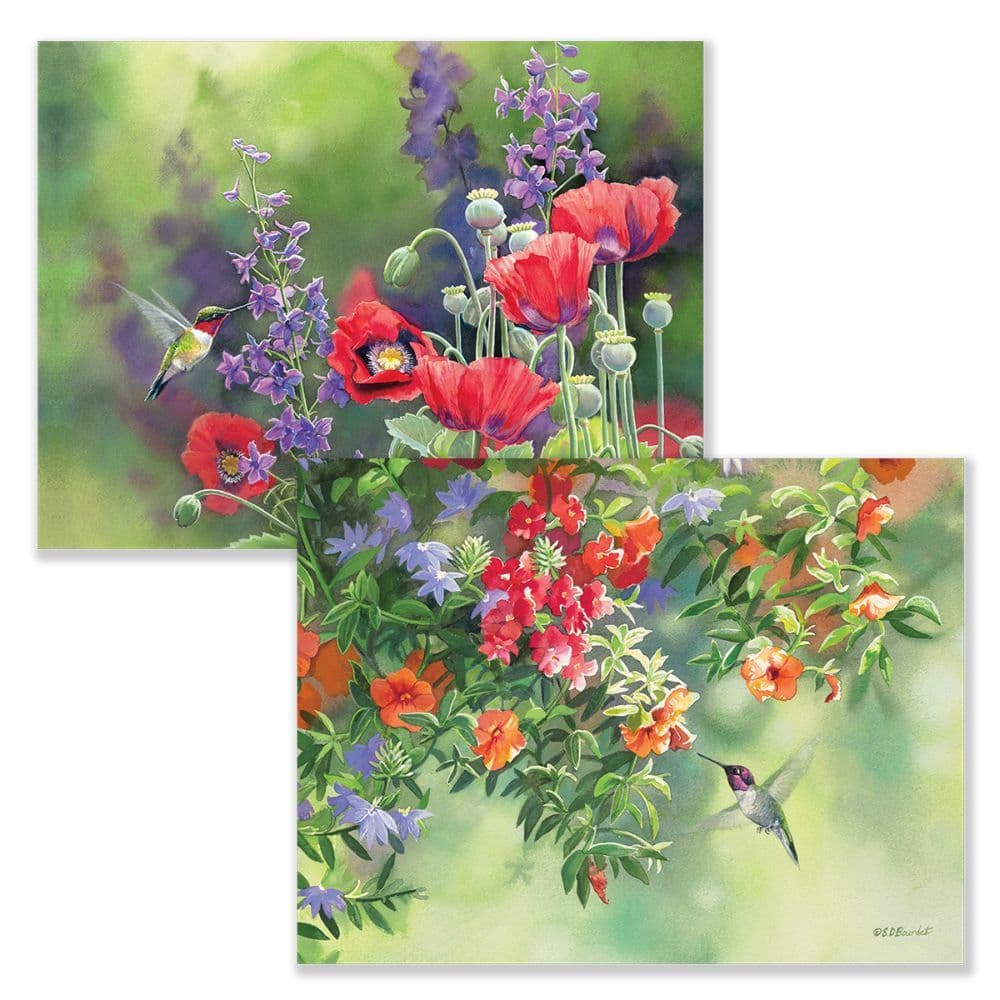 Flavors Of Summer 4" x 5" Blank Assorted Boxed Note Cards by Susan Bourdet Alternate Image 1