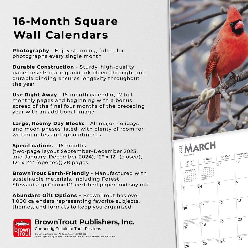 Songbirds 2024 Wall Calendar Alternate Image 4