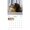 image Cats on Catnip 2025 Wall Calendar Second Alternate Image width="1000" height="1000"