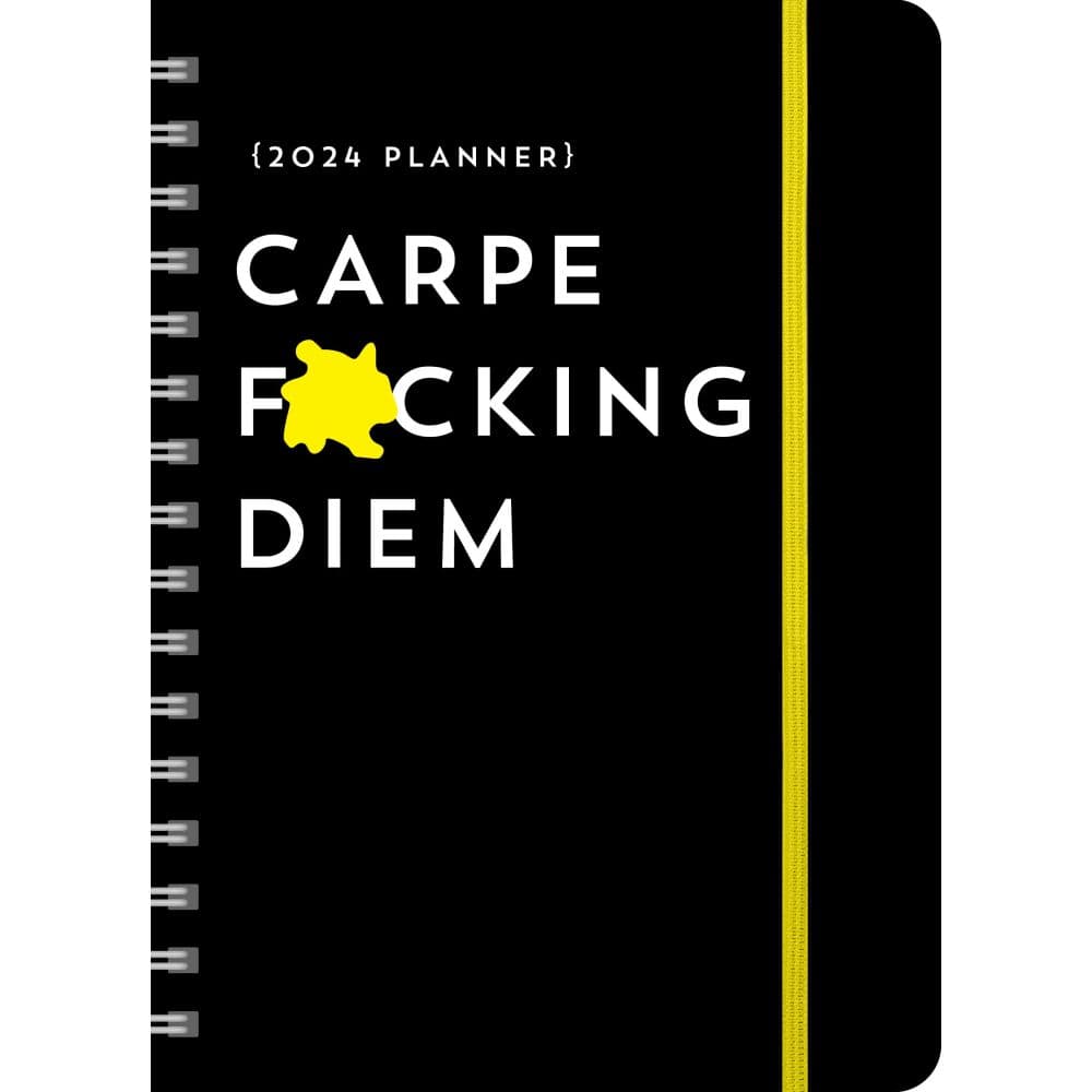 Carpe Diem home Planner Review 