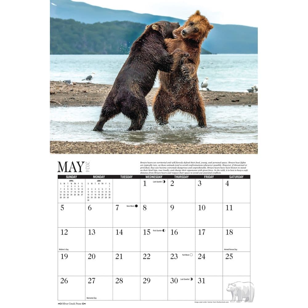 Bears 2024 Wall Calendar Second Alternate Image width=&quot;1000&quot; height=&quot;1000&quot;