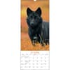 image Wolves Vertical 2025 Wall Calendar Third Alternate Image width="1000" height="1000"