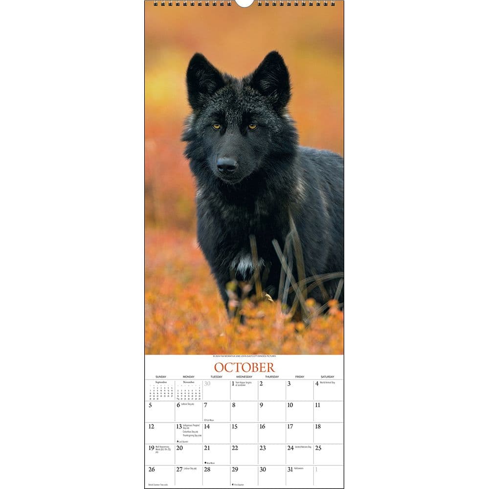 Wolves Vertical 2025 Wall Calendar Third Alternate Image width="1000" height="1000"
