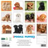 image Just Poodle Puppies 2025 Wall Calendar