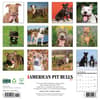 image Just American Pit Bulls 2026 Wall Calendar First Alternate Image