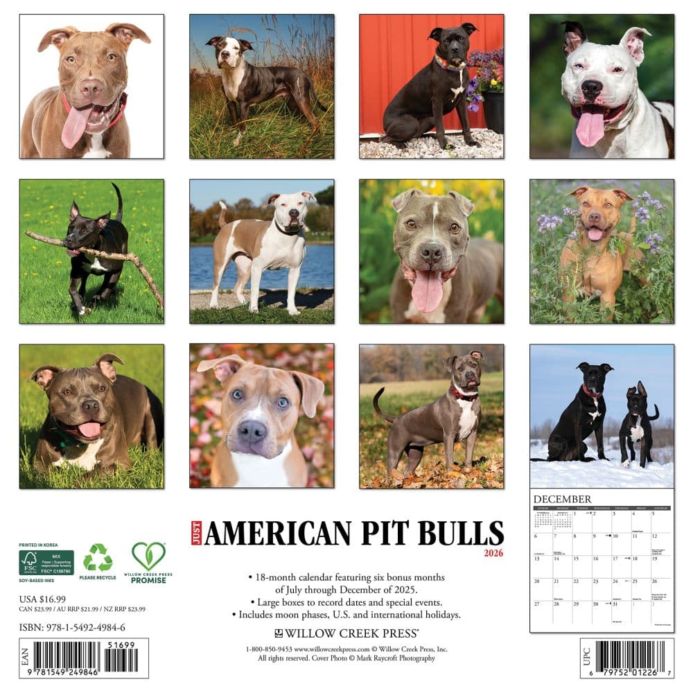 Just American Pit Bulls 2026 Wall Calendar First Alternate Image
