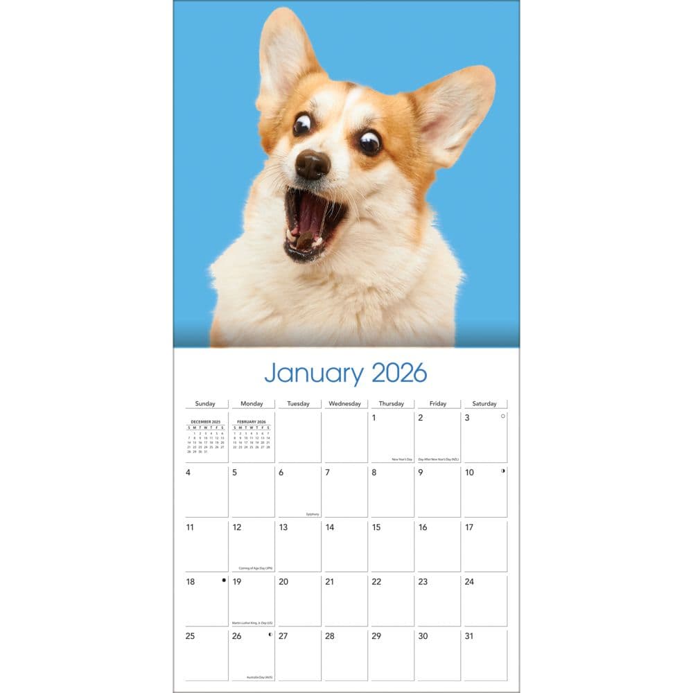Doggy Want A Treat 2026 Wall Calendar_ALT3
