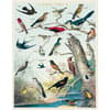 image Audubon Birds 1000 Piece Puzzle by Cavallini Alternate Image 1