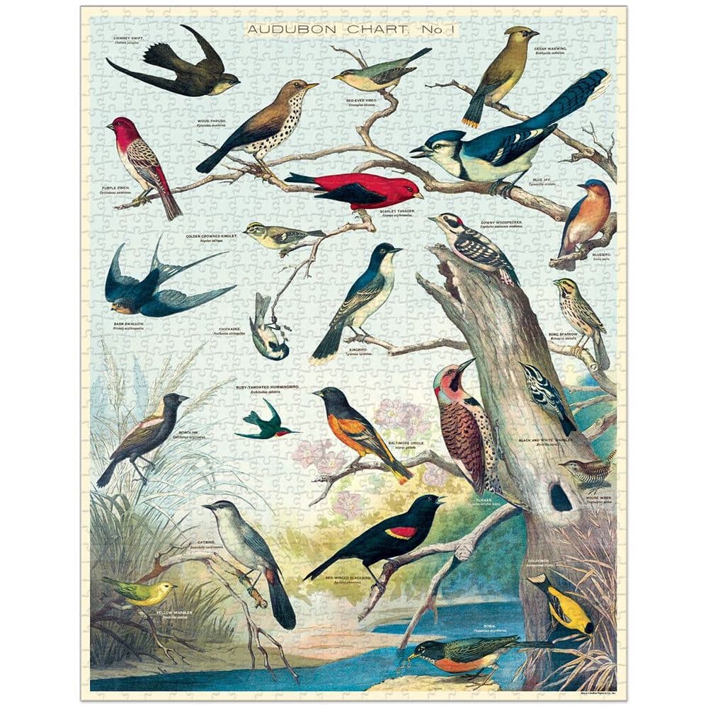 Audubon Birds 1000 Piece Puzzle by Cavallini Alternate Image 1