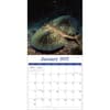 image Sea Creatures 2027 Wall Calendar