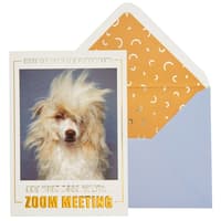 image Zoom Meeting Dog Friendship Card Main Product Image width=&quot;1000&quot; height=&quot;1000&quot;