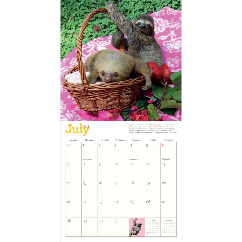 Hanging With Sloths 2024 Wall Calendar Alternate Image 1