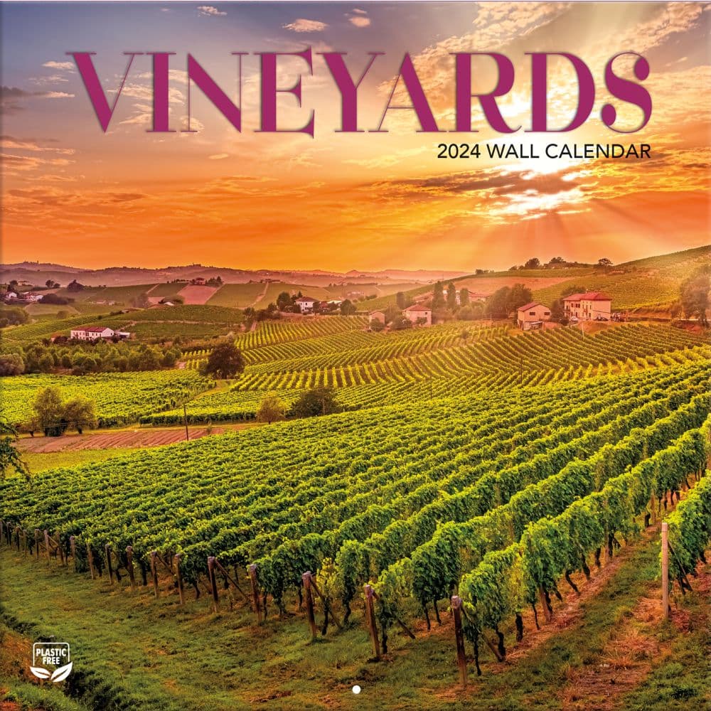 Vineyard Race 2025