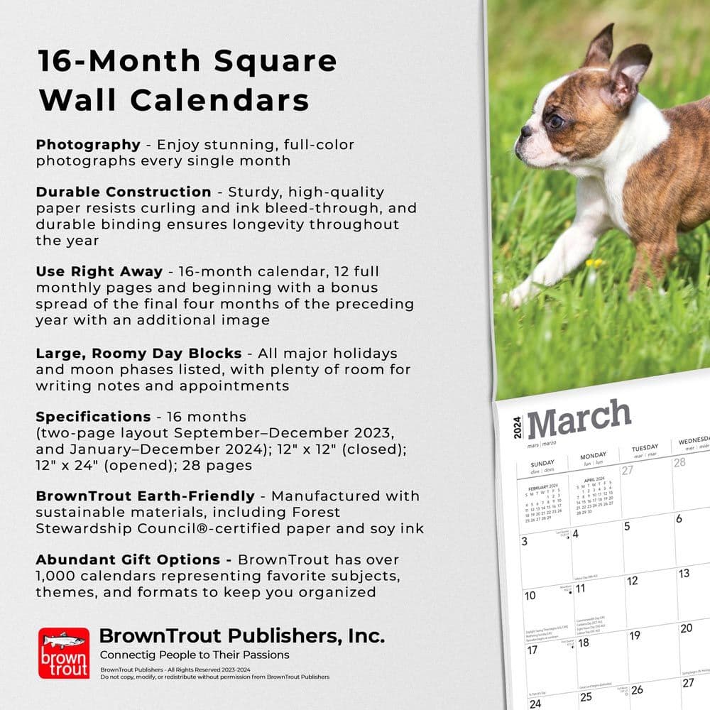 Boston Terrier Puppies 2024 Wall Calendar Fourth Alternate Image width=&quot;1000&quot; height=&quot;1000&quot;