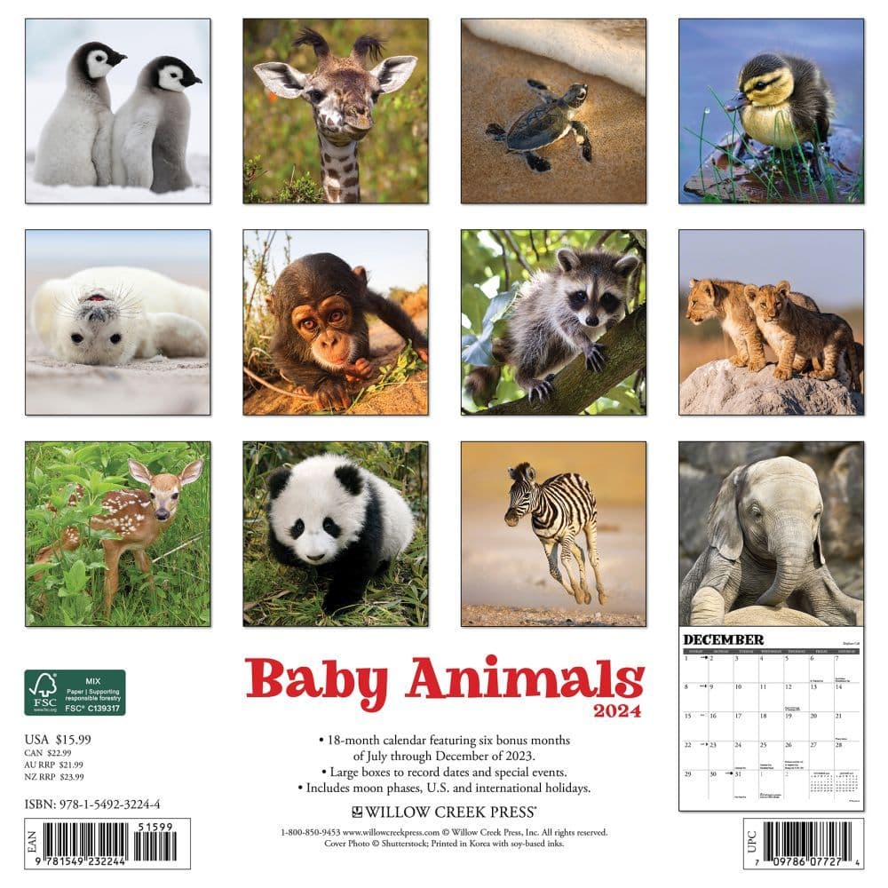 Baby Animals 2024 Wall Calendar