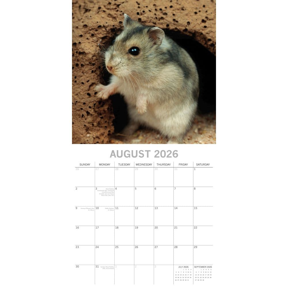 Hamsters 2026 Wall Calendar Third Alternate Image