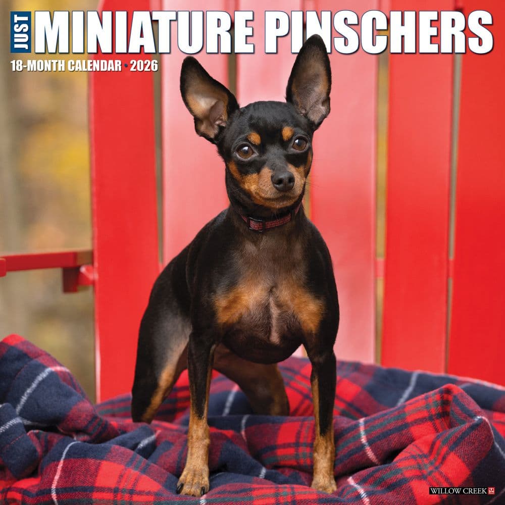 Just Miniature Pinschers 2026 Wall Calendar Main Image