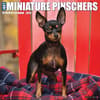 image Just Miniature Pinschers 2026 Wall Calendar Main Image