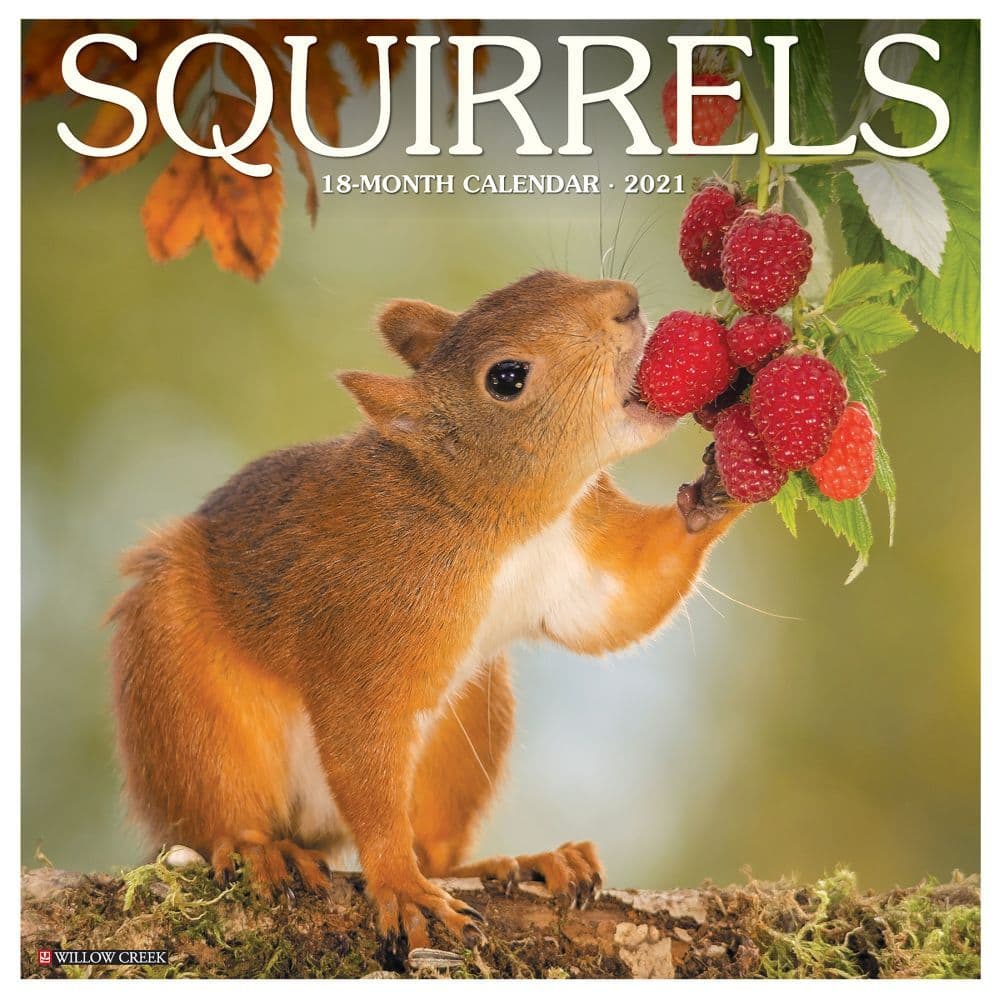 Squirrels Wall Calendar