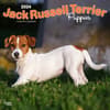 image Jack Russell Terrier Puppies 2024 Wall Calendar Main Product Image width=&quot;1000&quot; height=&quot;1000&quot;